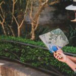 Learn How to Make Money While Traveling